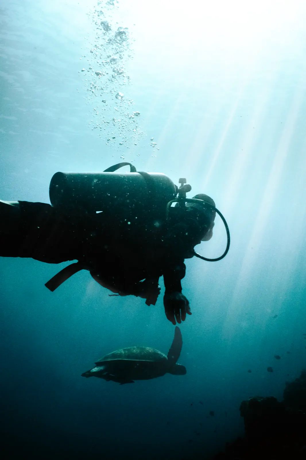 Diving the reef off Gili Air 4
