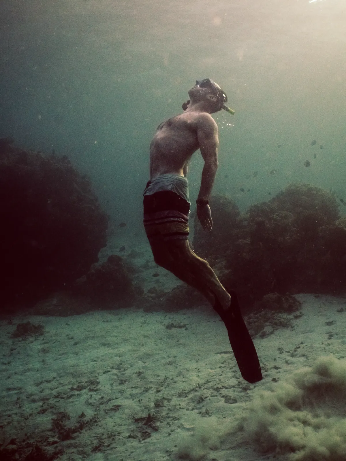 Snorkelling over the reef off Gili Air 3