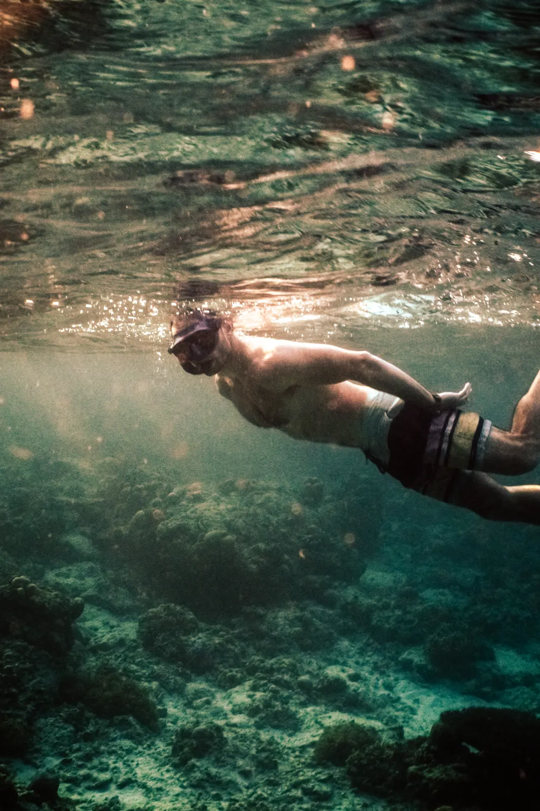 Snorkelling over the reef off Gili Air 4